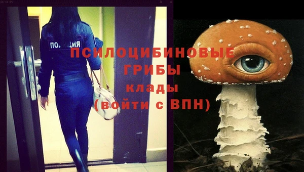крисы Абинск
