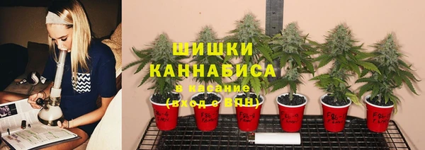 крисы Абинск
