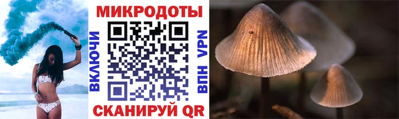 Галлюциногенные грибы Magic Shrooms  Чишмы 